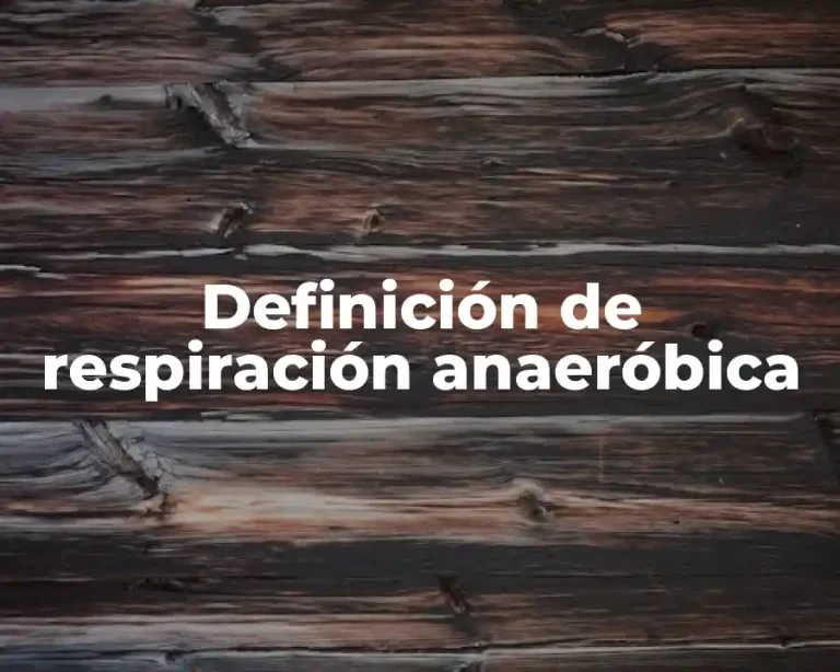 Definición de respiración anaeróbica