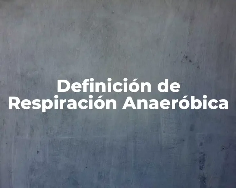Definición de Respiración Anaeróbica