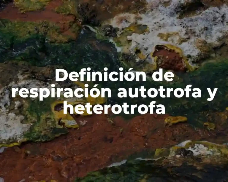 Definición de respiración autotrofa y heterotrofa