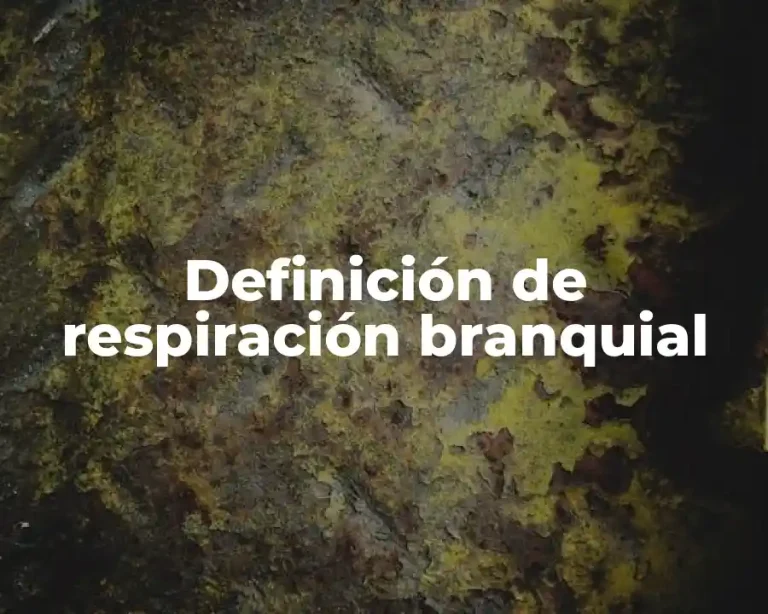 Definición de respiración branquial