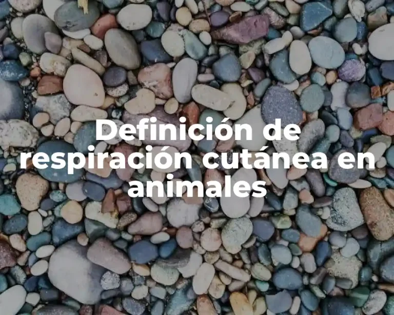 Definición de respiración cutánea en animales