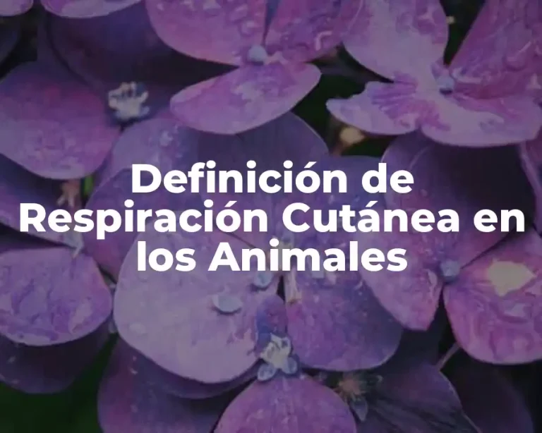 Definición de Respiración Cutánea en los Animales