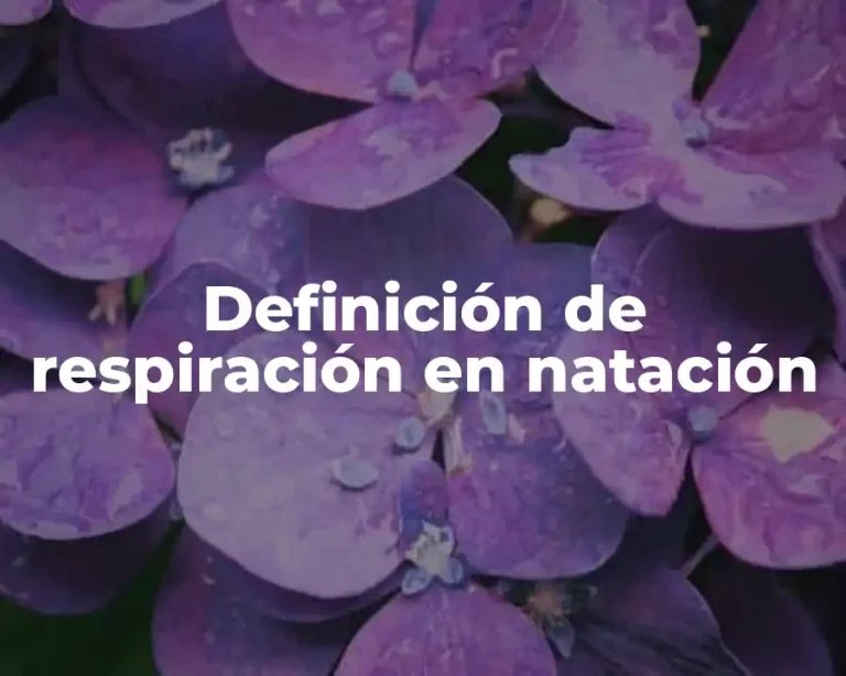 Definición de respiración en natación