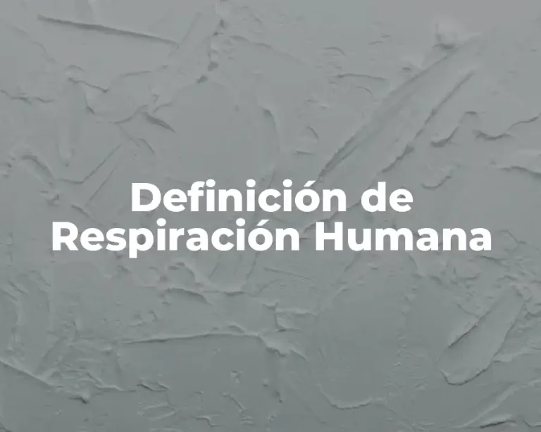 Definición de Respiración Humana