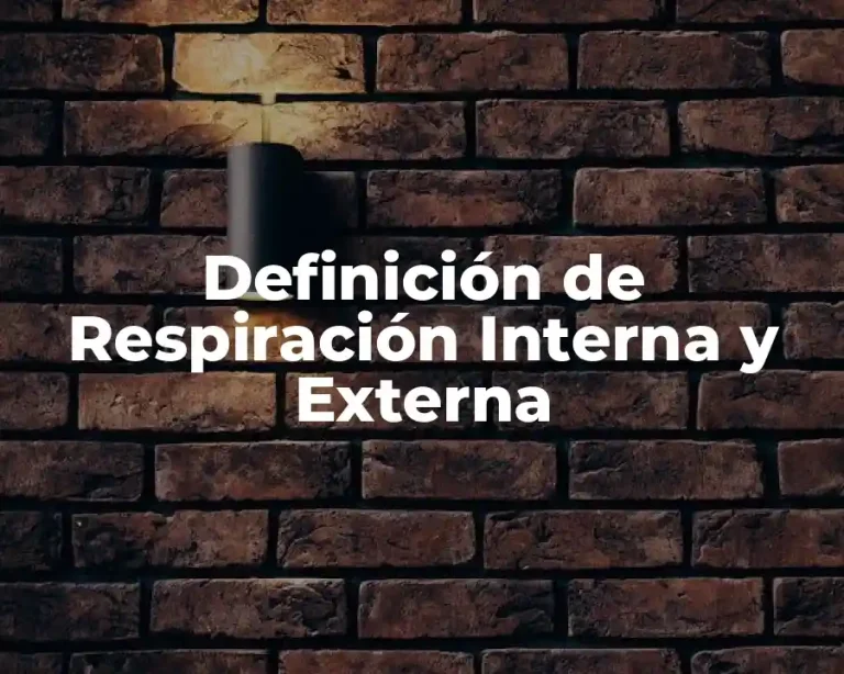 Definición de Respiración Interna y Externa