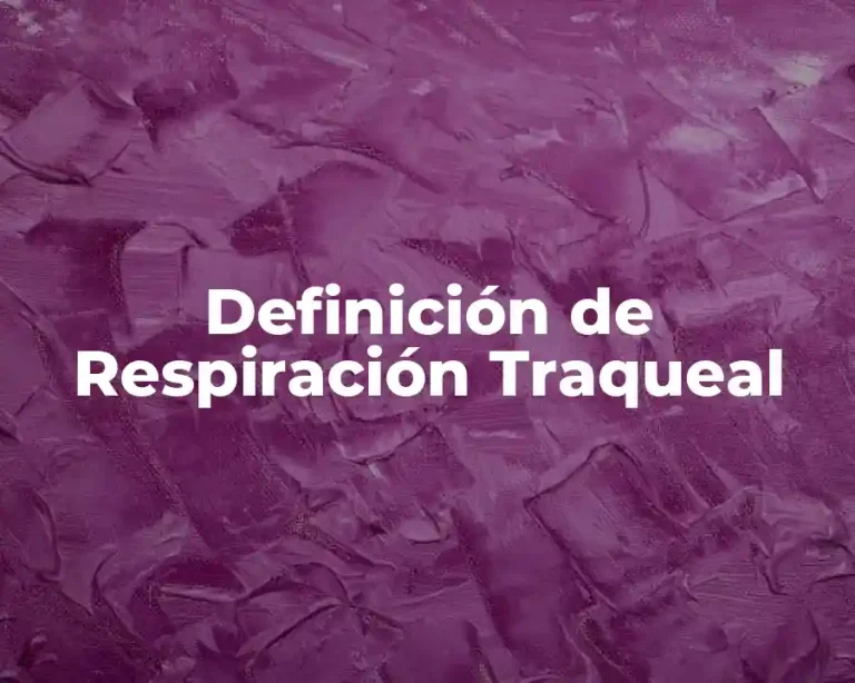 Definición de Respiración Traqueal