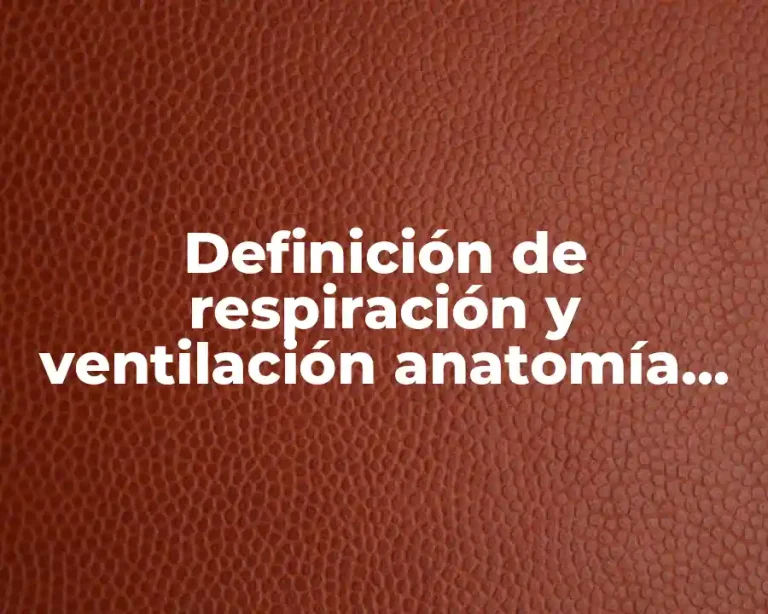 Definición de respiración y ventilación anatomía de Moore