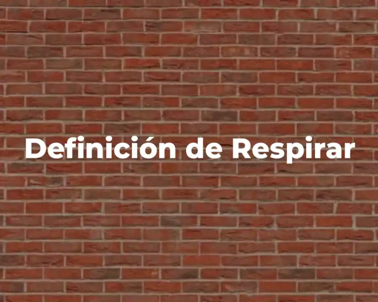 Definición de Respirar