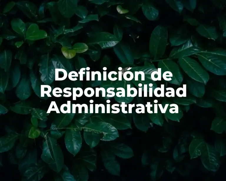 Definición de Responsabilidad Administrativa