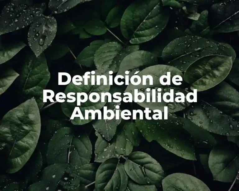 Definición de Responsabilidad Ambiental
