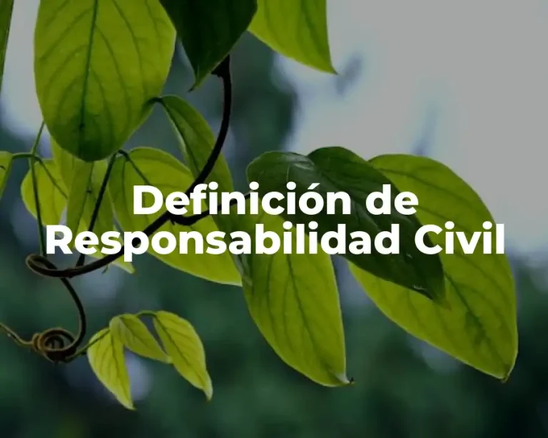 Definición de Responsabilidad Civil