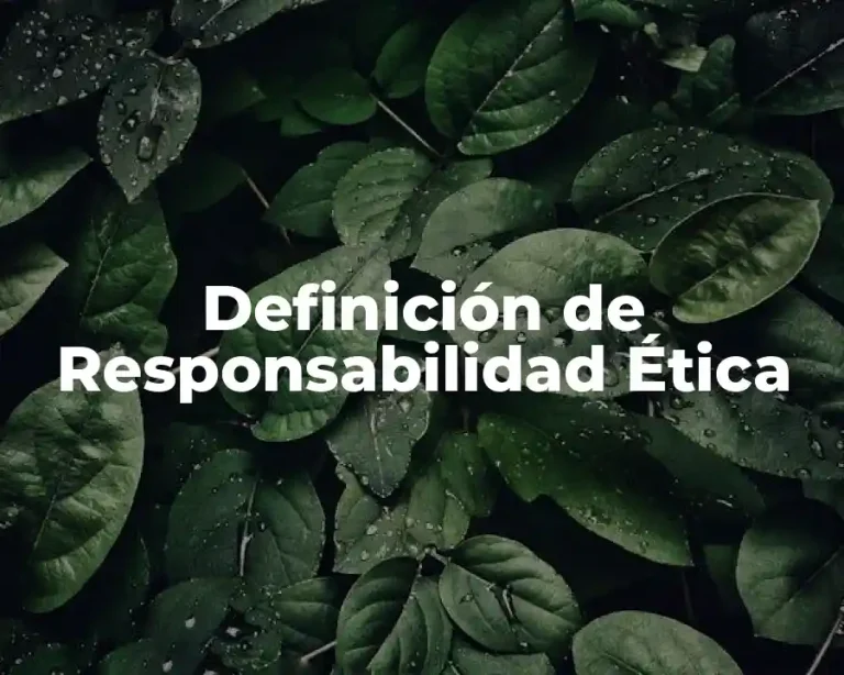 Definición de Responsabilidad Ética