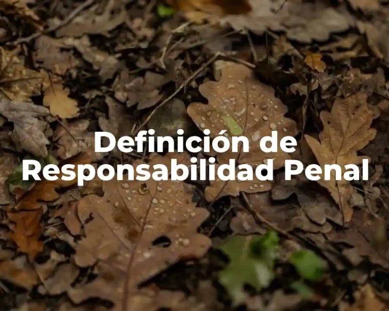 Definición de Responsabilidad Penal
