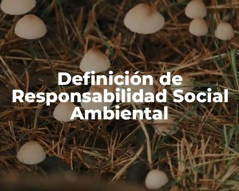 Definición de Responsabilidad Social Ambiental