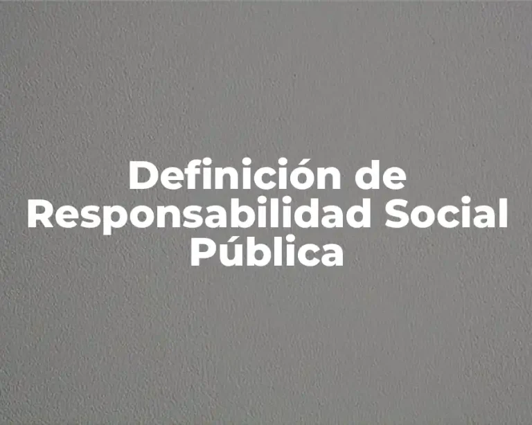 Definición de Responsabilidad Social Pública