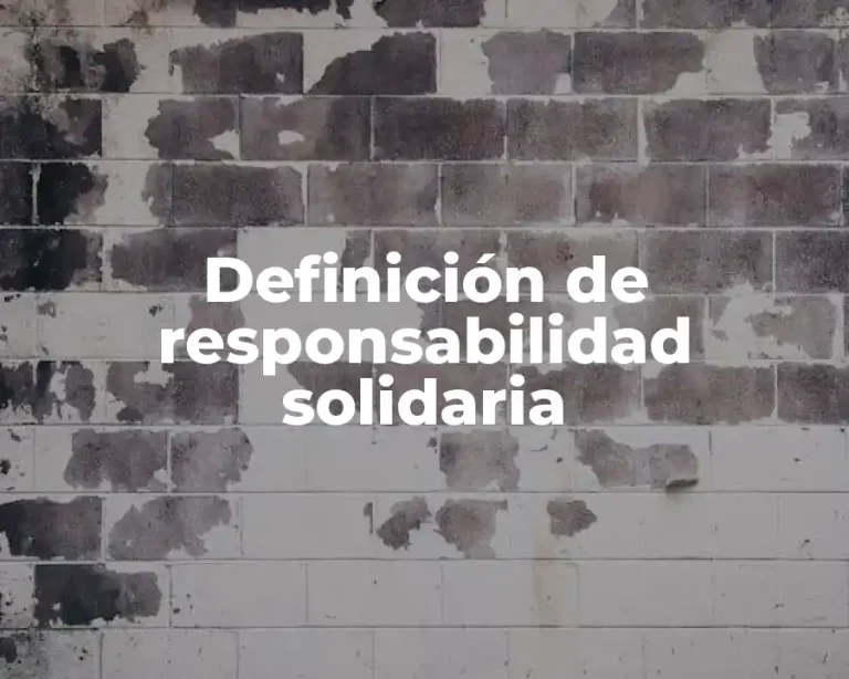 Definición de responsabilidad solidaria