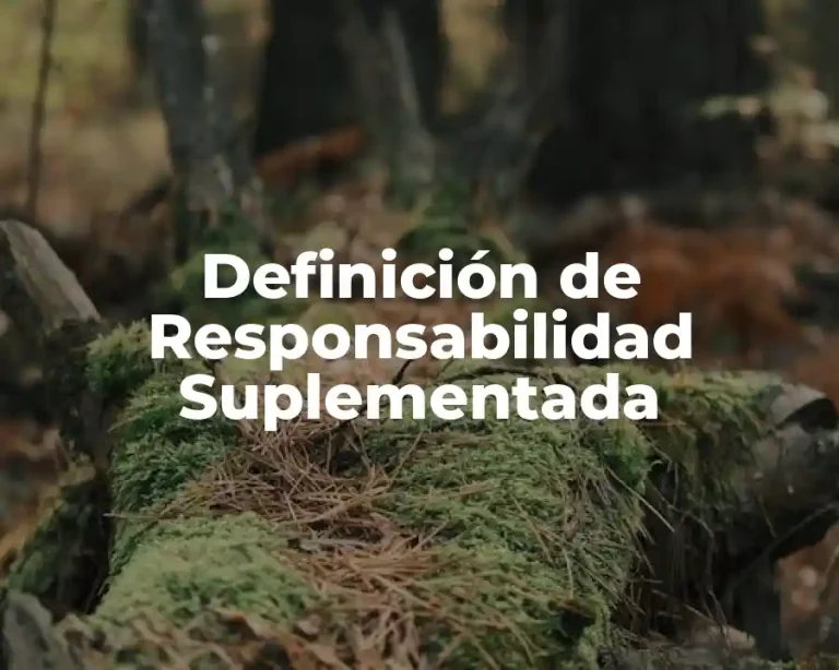 Definición de Responsabilidad Suplementada