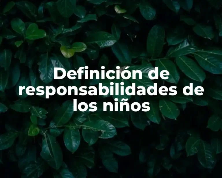Definición de responsabilidades de los niños