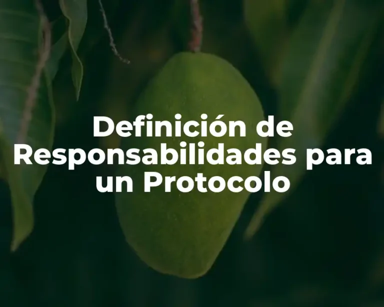 Definición de Responsabilidades para un Protocolo