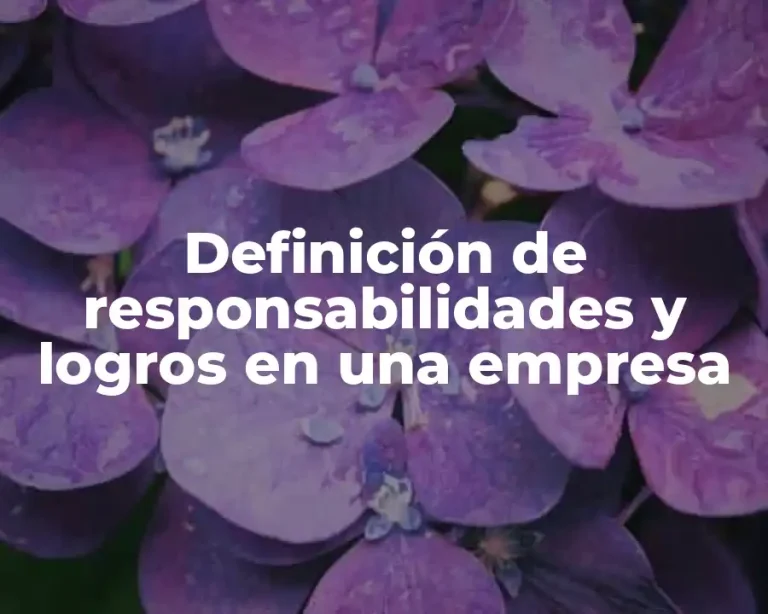 Definición de responsabilidades y logros en una empresa