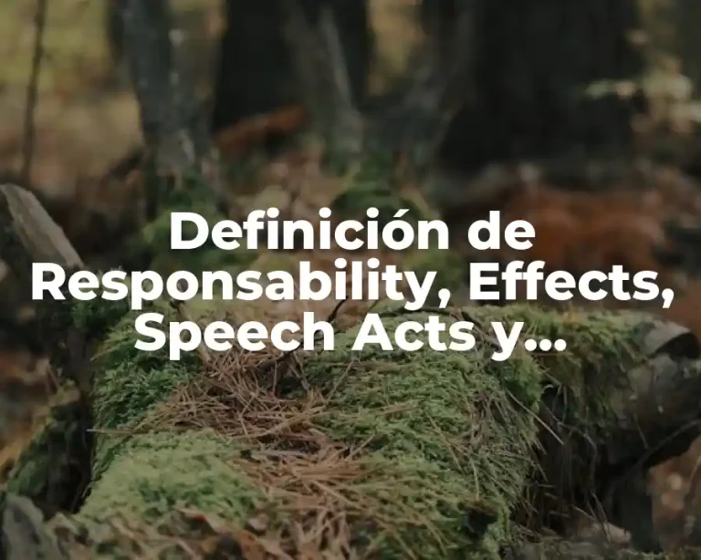 Definición de Responsability, Effects, Speech Acts y Arguments