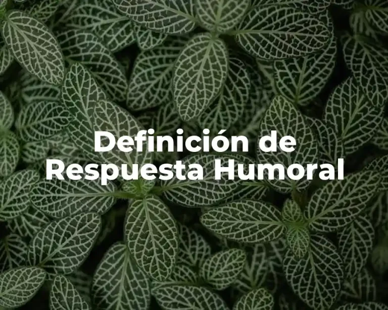 Definición de Respuesta Humoral