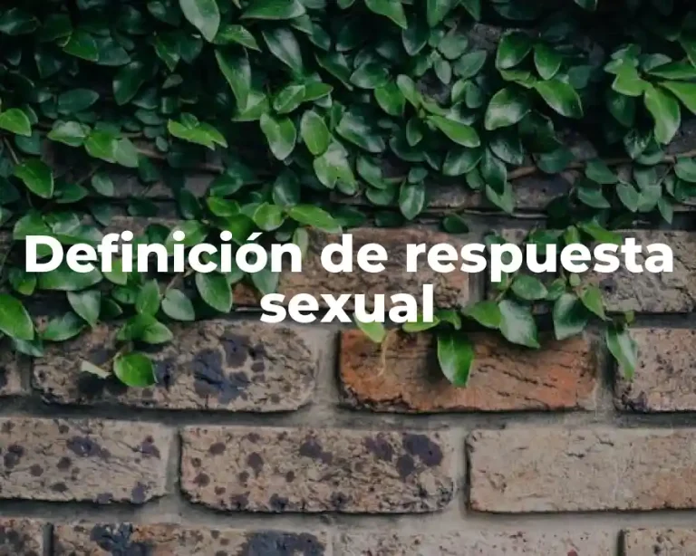 Definición de respuesta sexual