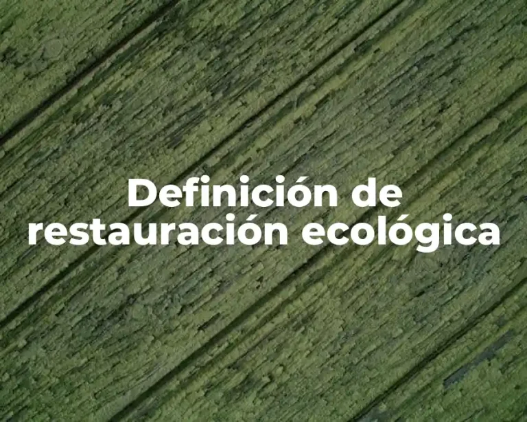 Definición de restauración ecológica