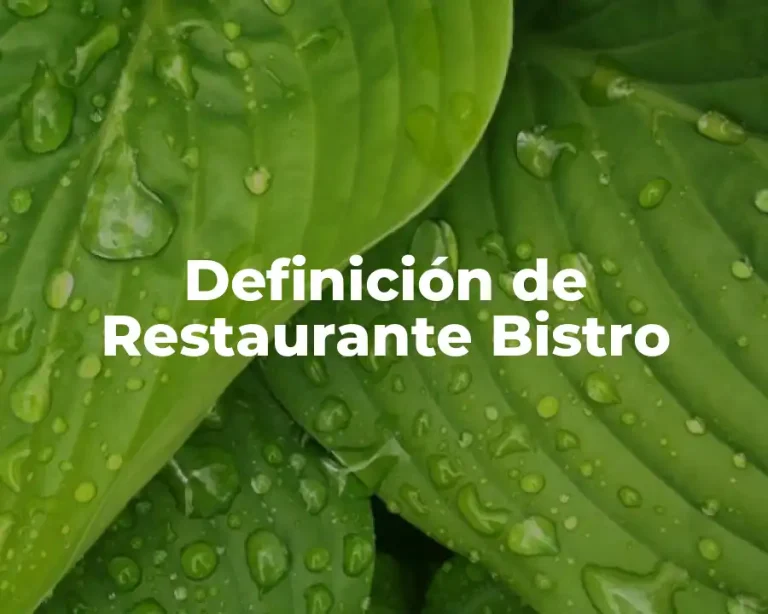 Definición de Restaurante Bistro
