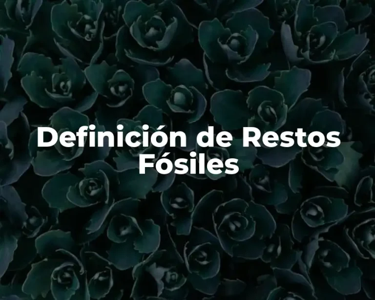 Definición de Restos Fósiles