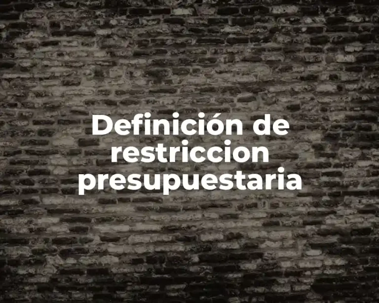 Definición de restriccion presupuestaria