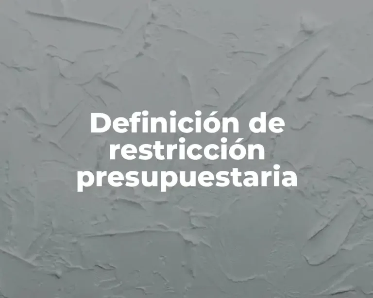 Definición de restricción presupuestaria