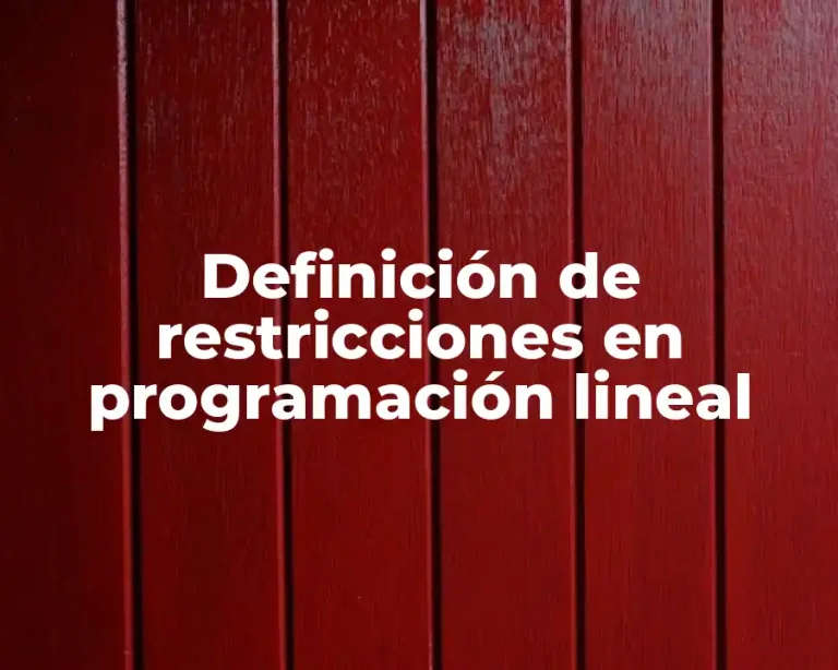 Definición de restricciones en programación lineal