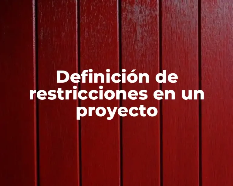 Definición de restricciones en un proyecto
