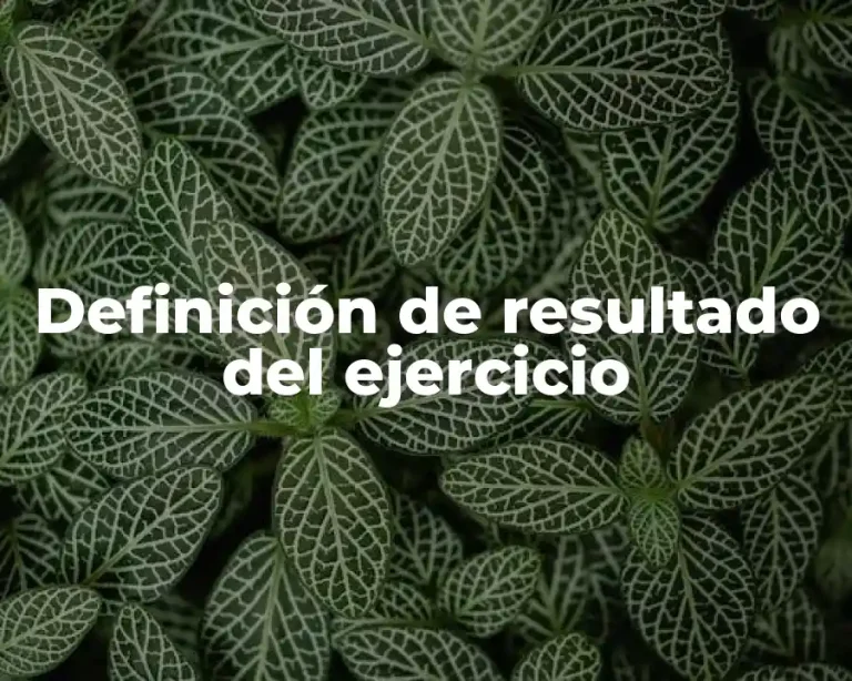 Definición de resultado del ejercicio
