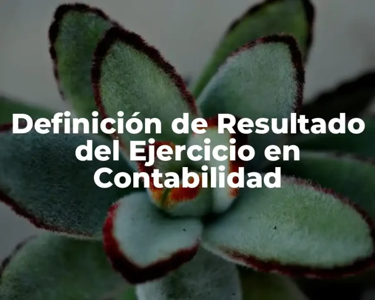 Definición de Resultado del Ejercicio en Contabilidad