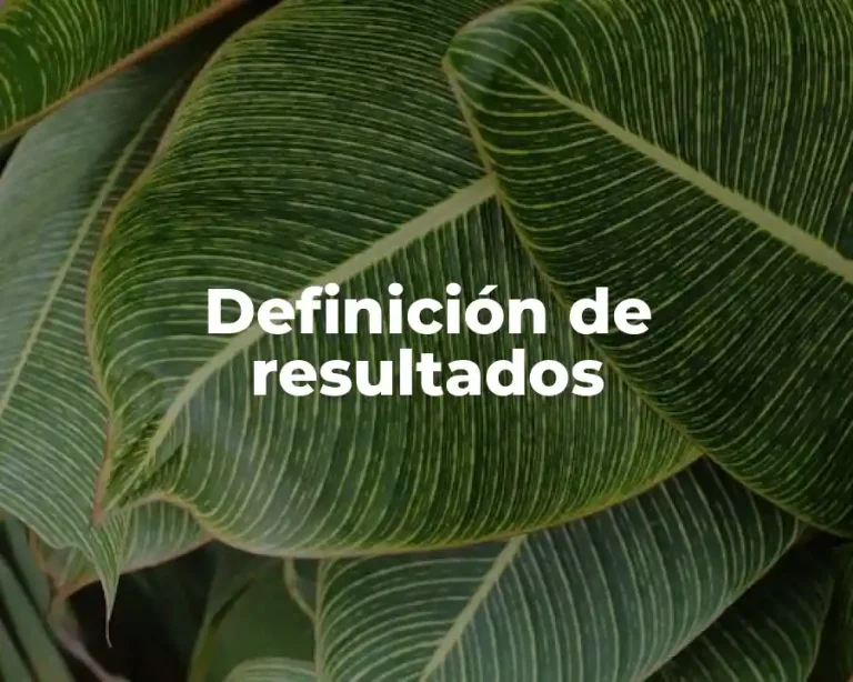 Definición de resultados