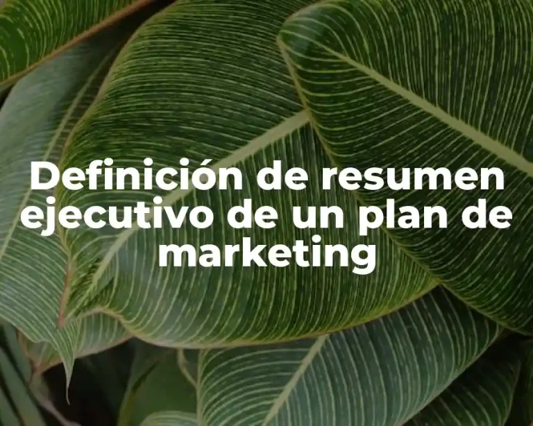 Definición de resumen ejecutivo de un plan de marketing