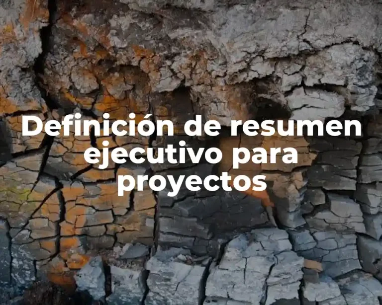 Definición de resumen ejecutivo para proyectos