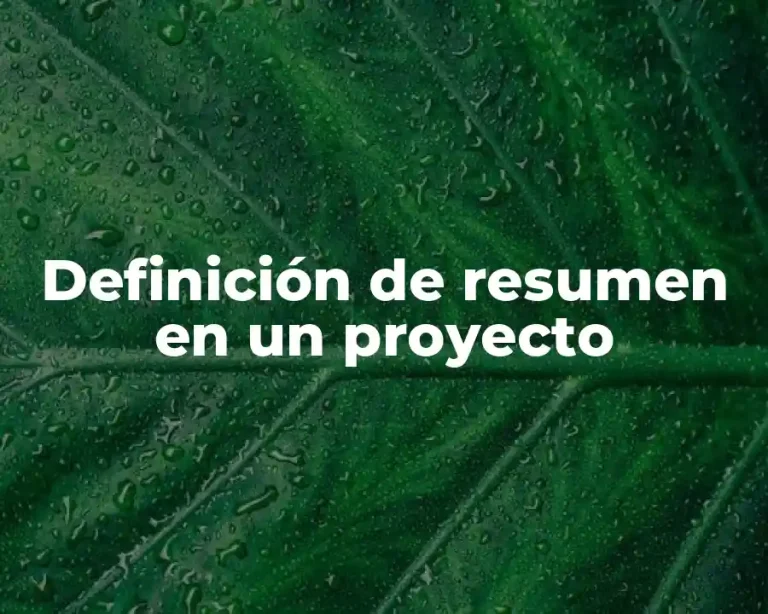 Definición de resumen en un proyecto