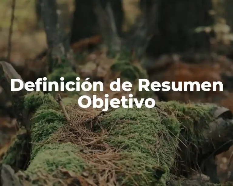 Definición de Resumen Objetivo