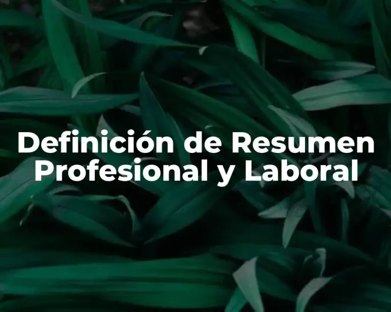 Definición de Resumen Profesional y Laboral