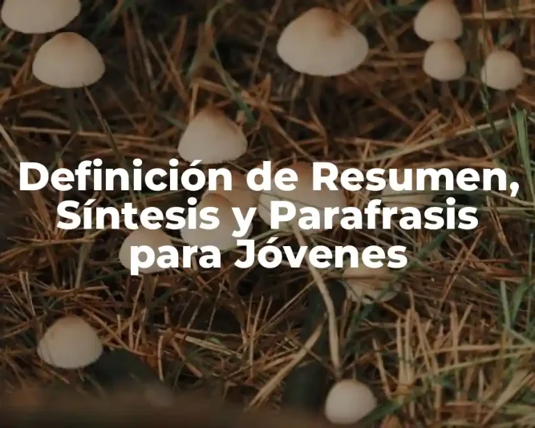 Definición de Resumen, Síntesis y Parafrasis para Jóvenes