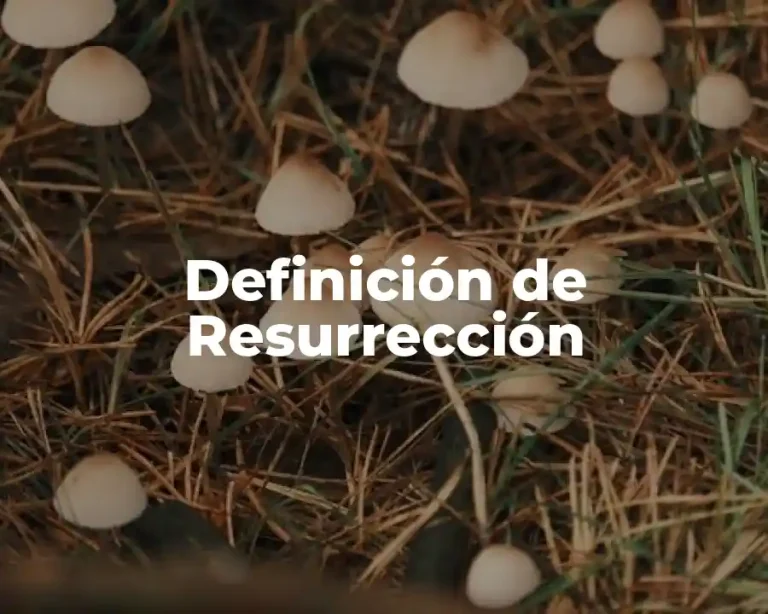 Definición de Resurrección