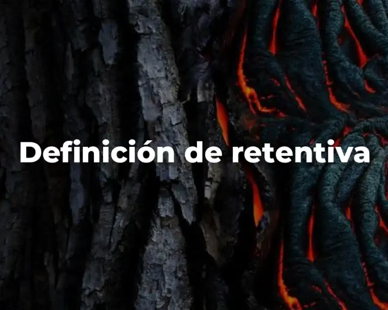 Definición de retentiva