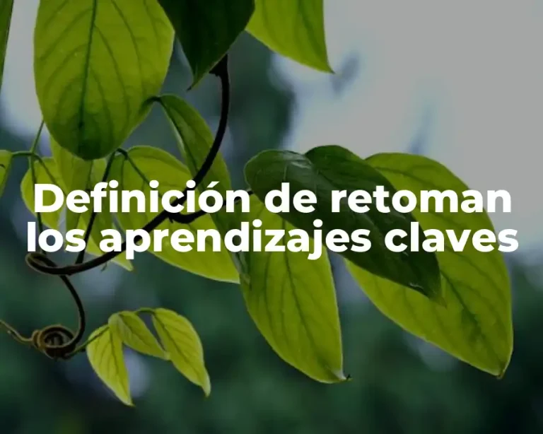 Definición de retoman los aprendizajes claves