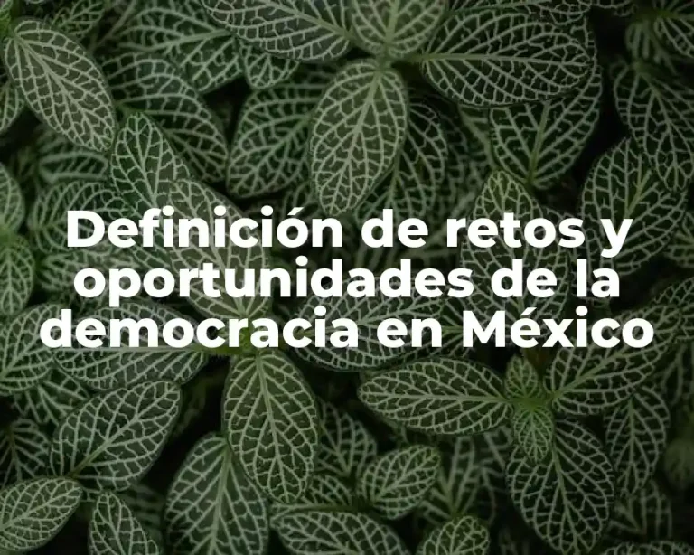 Definición de retos y oportunidades de la democracia en México