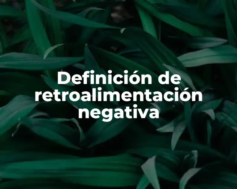 Definición de retroalimentación negativa
