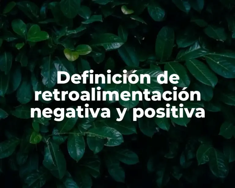 Definición de retroalimentación negativa y positiva