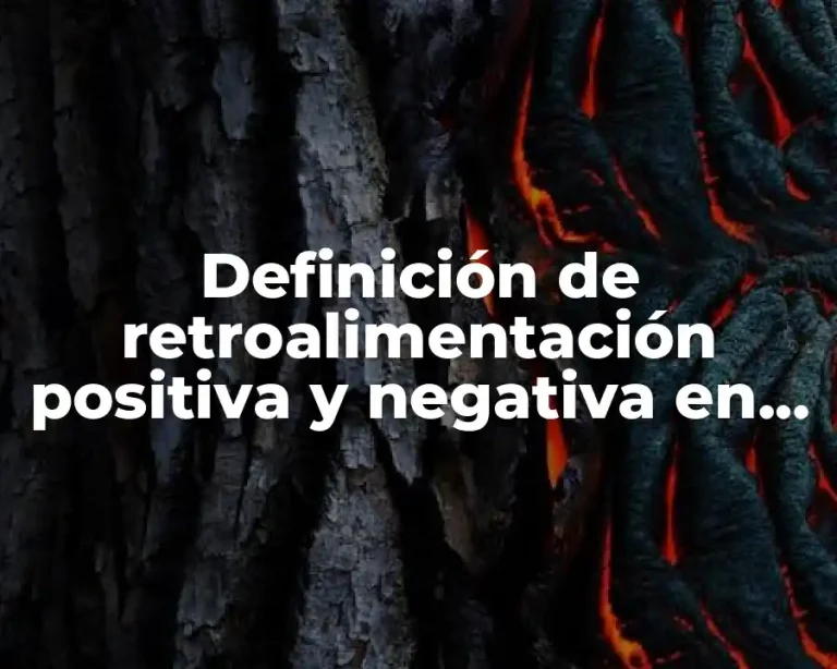 Definición de retroalimentación positiva y negativa en el cuerpo humano